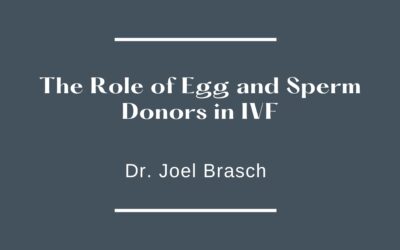 The Role of Egg and Sperm Donors in IVF